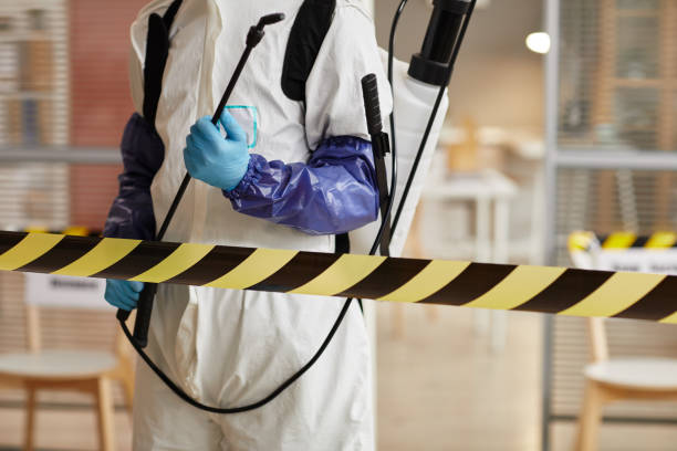 Professional Sewage Cleanup technician working in Ashton, NE